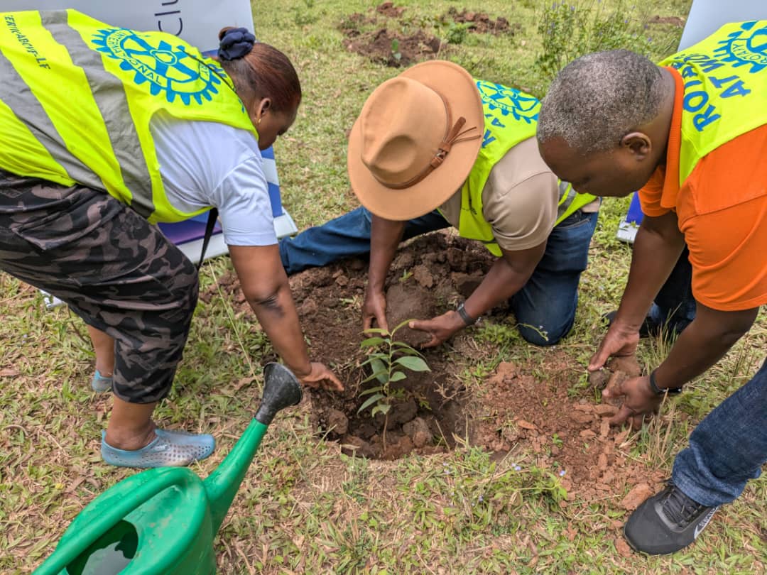 Protect the Environment project 2