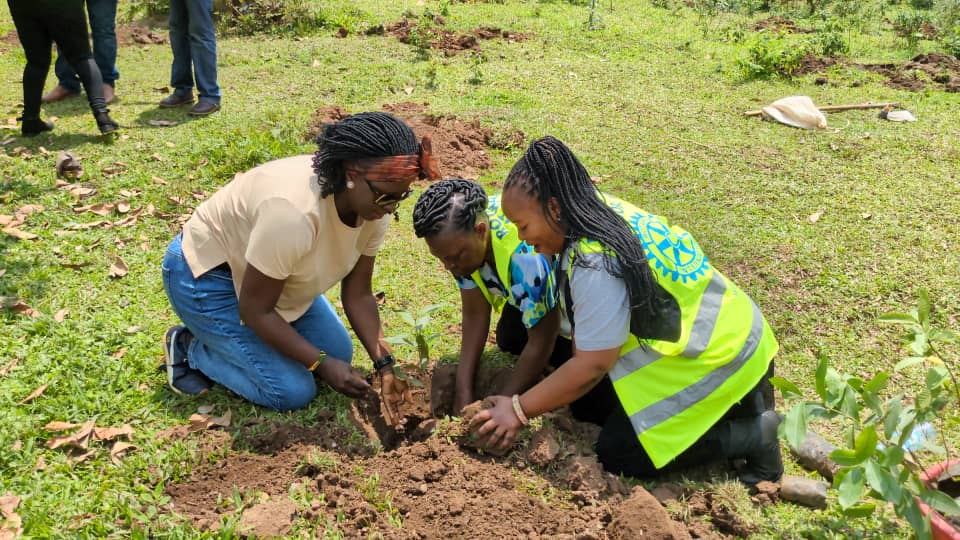 Protect the Environment project 6